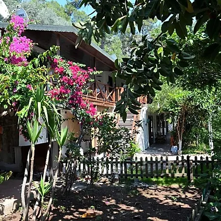 Lagoon Boutique Φετιγιέ